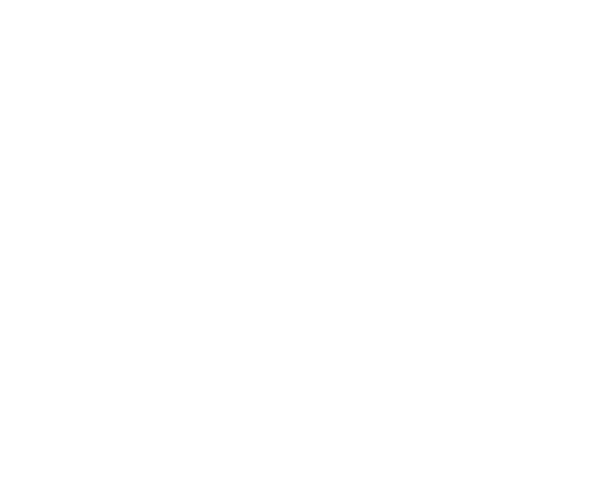 SUPER ((ECHO)) LABEL