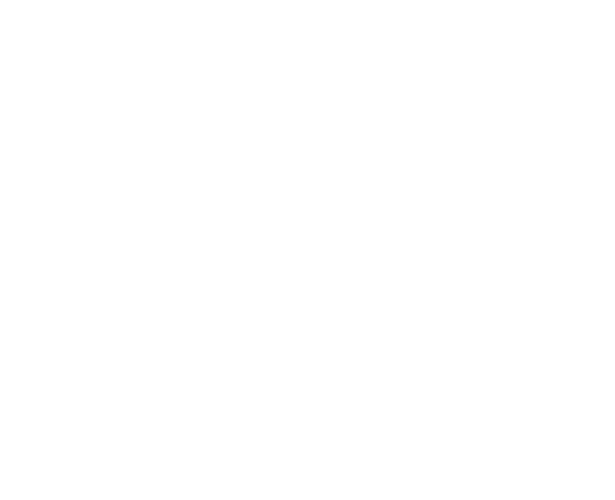 TEN YEARS